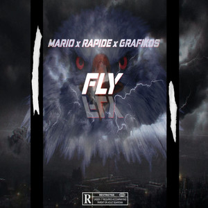 FLY (Explicit)