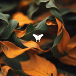 Betrayal (OIBAF Remix)