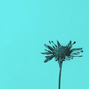 Deforestation(feat. Jonathan Arnold) (Explicit)