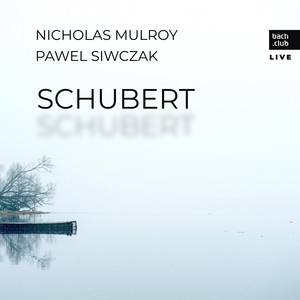 Im Frühling, D. 882 (Live)