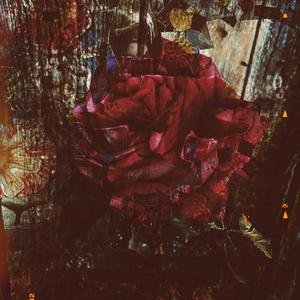 Rosé on Ice (feat. carlos.)