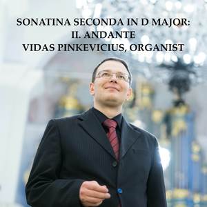 Sonatina Seconda in D Major, Krebs-WV 802 - II. Andante