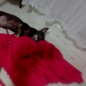 Flabio Sanchez (Tu Foto) (feat. M-Flow & King F)