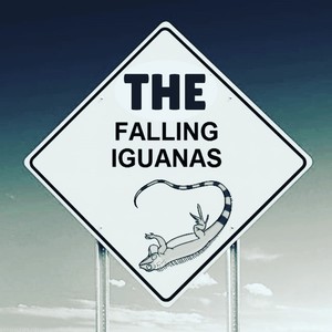 The Falling Iguanas (Explicit)