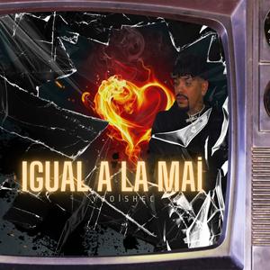 IGUAL A LA MAI