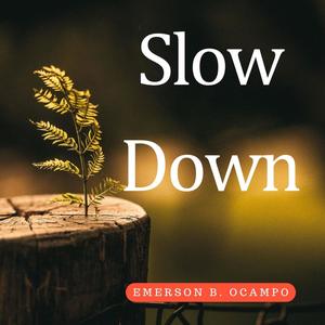 Slow Down