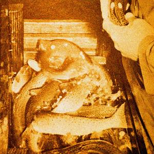 ontheroof (Explicit)