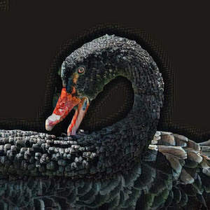 Muffled Ring Forlorn