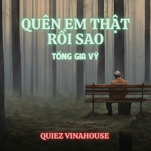 Quên Em Thật Rồi Sao (Quiez Vinahouse)