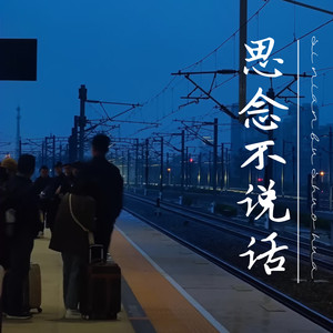 思念不说话