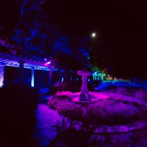 (bonus track) Go Brazy Lil E !! (Explicit)