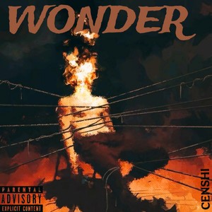 Wonder (Explicit)