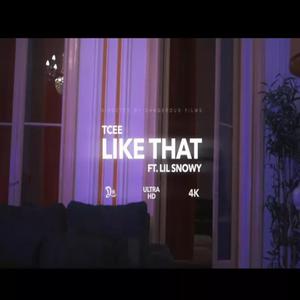 Like That (feat. TCee & Lil Snowy) [Explicit]