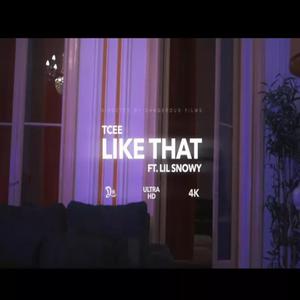 Like That (feat. TCee & Lil Snowy) (Explicit)
