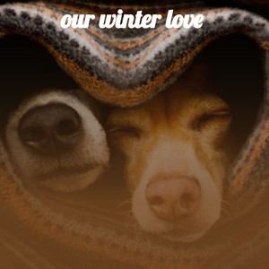 Our Winter Love