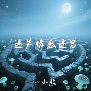 迷失情感迷宫