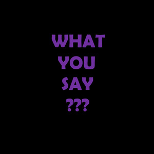 What You Say???