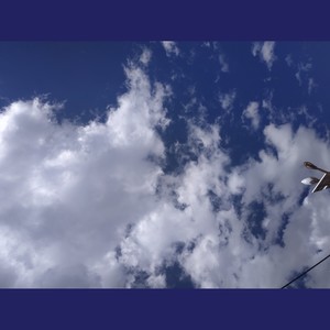 春有百花秋有月