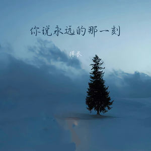 你说永远那一刻