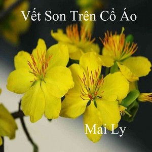 Vết Son Trên Cổ Áo