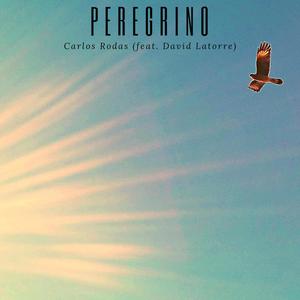 Peregrino (feat. David Latorre, Leandro Choque, Pablo Guzman, Juan Manuel Ocampo & Leandro Bordicelli)