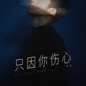 只因你伤心 (伴奏)