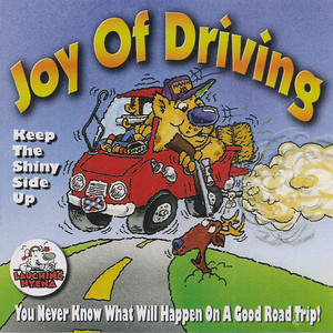 Joy of Driving