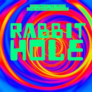 RABBIT HOLE (feat. Risktaker Rockstarz) (Explicit)