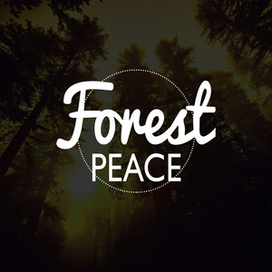 Forest Peace