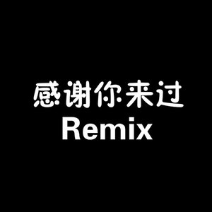 感谢你来过Remix