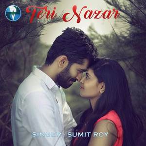 Teri Nazar