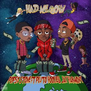 Had Me Goin' (feat. Pluto Hoolie & Jay Harmony) [Explicit]