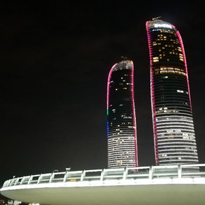 此情可待成追忆