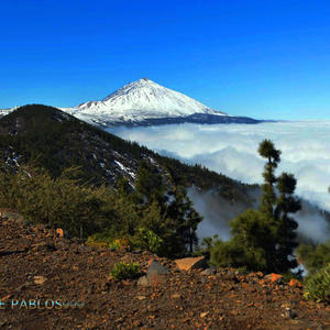 Tantas Vidas (feat. Mercedes Gonzalez, Sara de la Rosa & Gustavo Diaz)