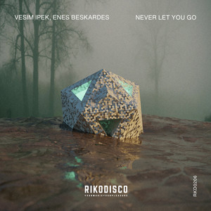 Never Let You Go (Extended)