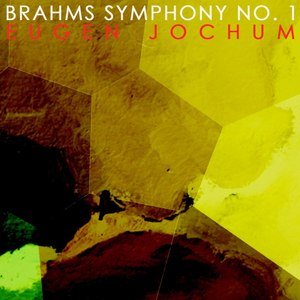 Symphony No. 1 in C Minor, Op. 68 - Symphony No. 1 In C Minor, Op. 68: II. Andante Sostenuto (C小调第1号交响曲，作品68 - 第二乐章 稍慢的行板)