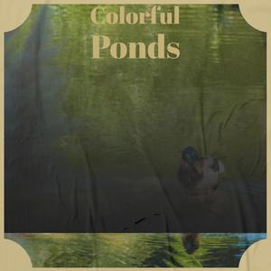 Colorful Ponds