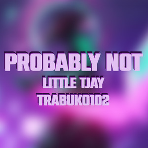 Probably Not (Explicit)