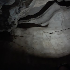 Biggest Balls You've Ever Seen on a Chipmunk