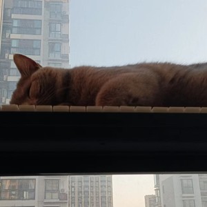 等不来的晚安 (伴奏)