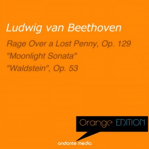 Rondo a capriccio in G Major, Op. 129 - Rage Over a Lost Penny