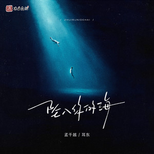 坠入你的海 (伴奏)