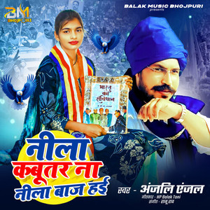 Neela Kabootar Na Neela Baaz Hai