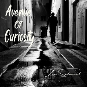 Avenue of Curiosity