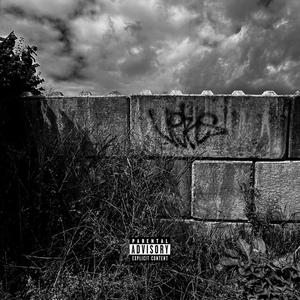 Fact Check (feat. Monokey) (Explicit)