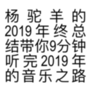 杨驼羊的年度总结