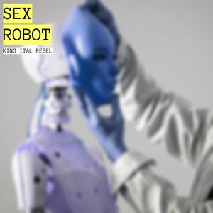 Sex Robot