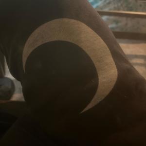 Lately (Freestyle) (Explicit)