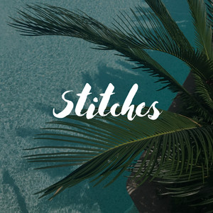Stitches