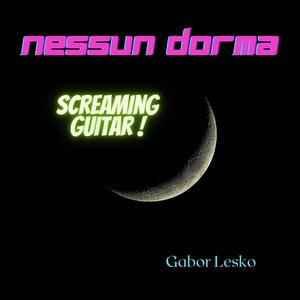 Nessun Dorma(Screaming Guitar)